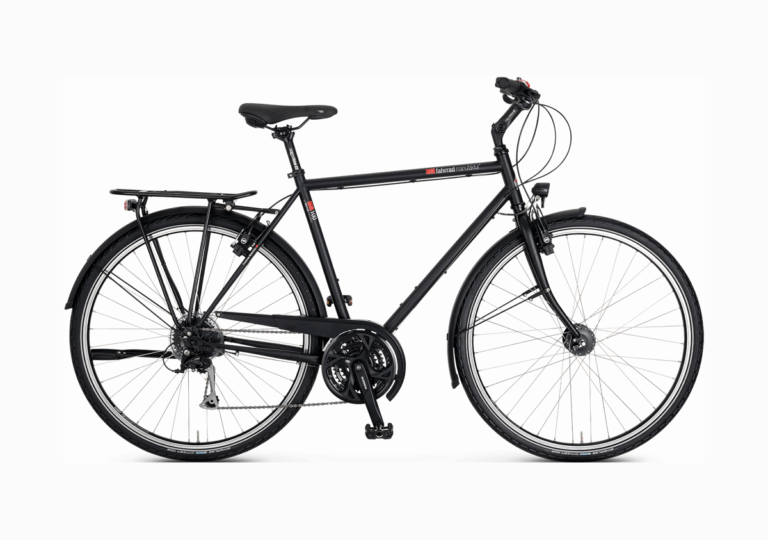 9 T100 Fahrrad 2