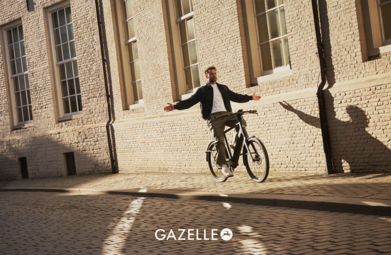 Gazelle Cayo C310 (3)