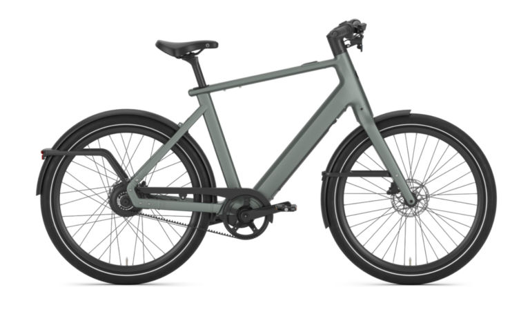 Gazelle Cayo C310 (4)