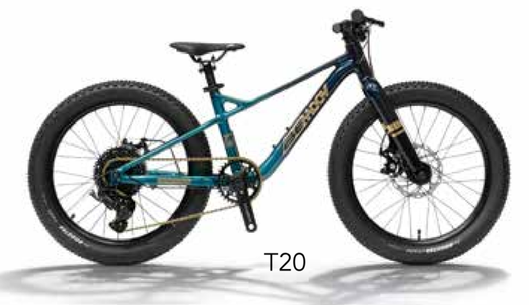 Bemoov-VTT-T20