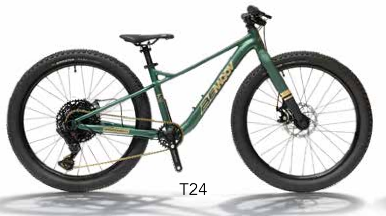 Bemoov-VTT-T24