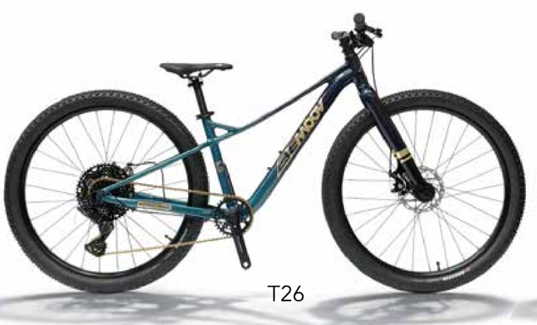 Bemoov-VTT-T26
