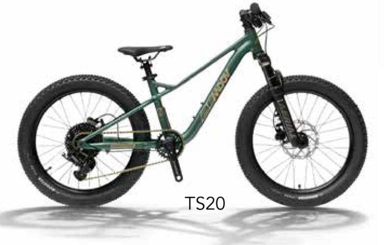 Bemoov-VTT-TS20