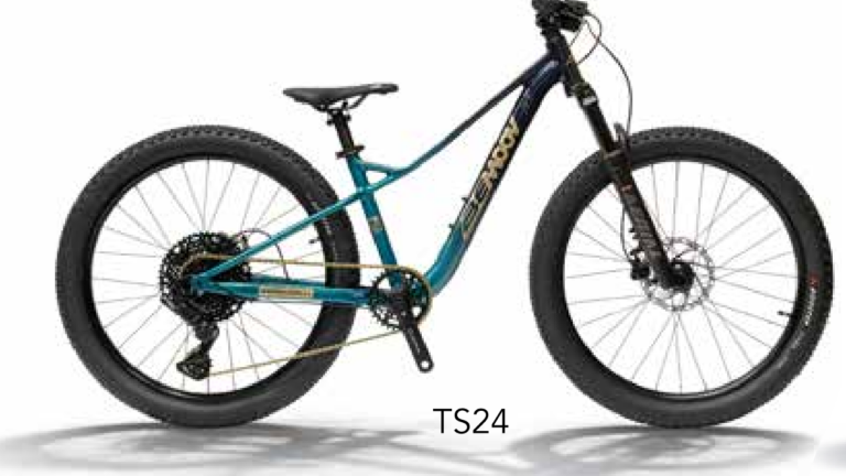 Bemoov-VTT-TS24