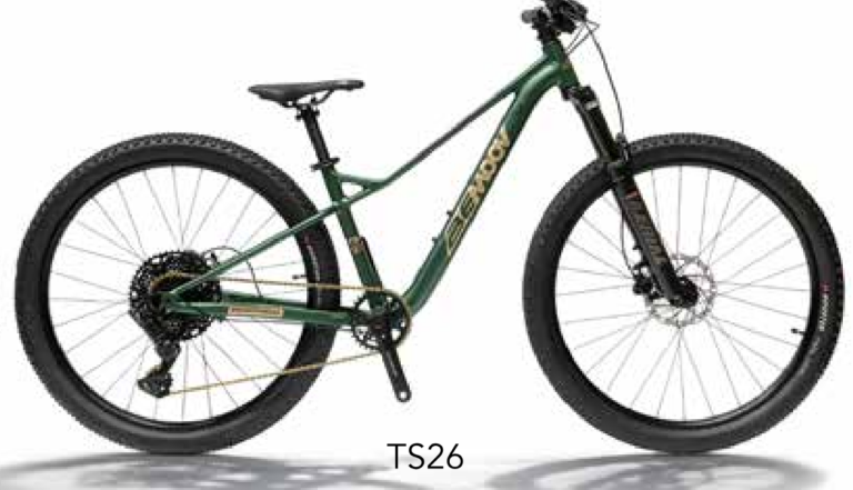 Bemoov-VTT-TS26